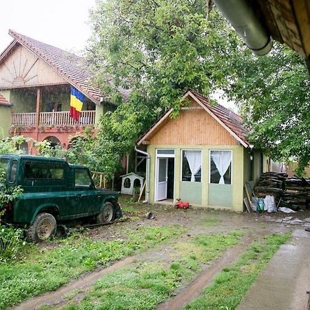 Pensiune Muzeu Traditional Poveste In Transilvania Σιγκισοάρα Εξωτερικό φωτογραφία